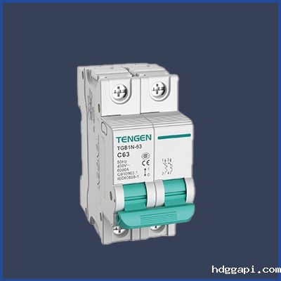 小型断路器（微断）TGB1N